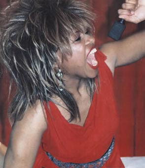 Tina Turner Lookalike